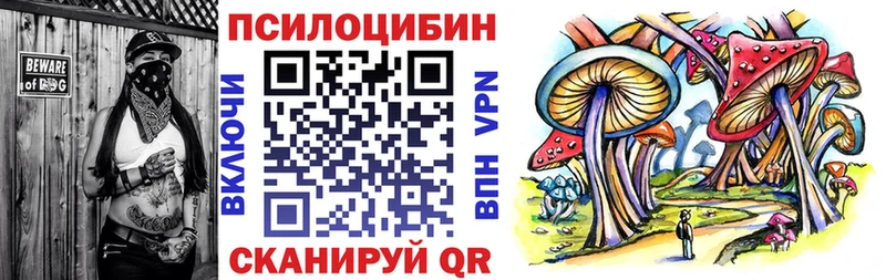 где купить   Северобайкальск  Псилоцибиновые грибы GOLDEN TEACHER 