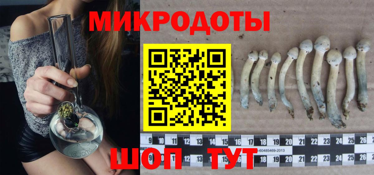 Галлюциногенные грибы Magic Shrooms  Вход с VPN  Галлюциногенные грибы Psilocybe  Северобайкальск 
