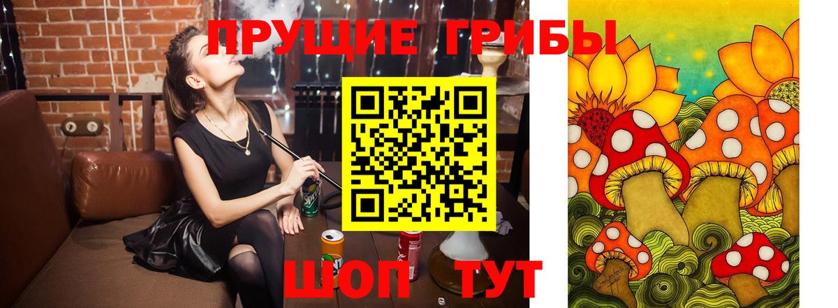 Псилоцибиновые грибы MAGIC MUSHROOMS Северобайкальск