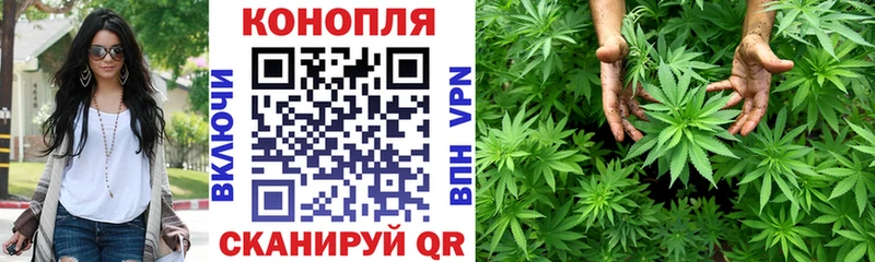 Канабис OG Kush Северобайкальск